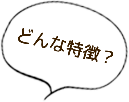 どんな特徴？